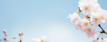 Meditation & Übungen